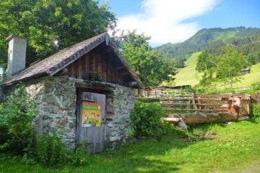 Biobauernhof Maurachgut in Bad Hofgastein