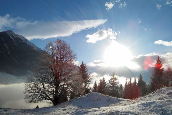 Auszeit am Biohof Maurachgut in Bad Hofgastein