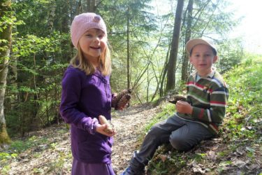 Familienurlaub am Biobauernhof im Gasteinertal