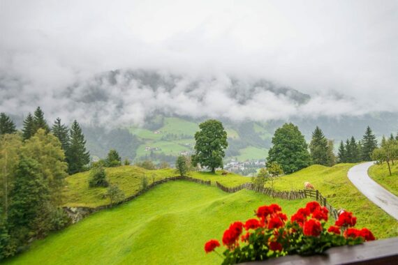 Ferienwohnung Talblick, Ferienwohnungen am Biohof Maurachgut in Bad Hofgastein