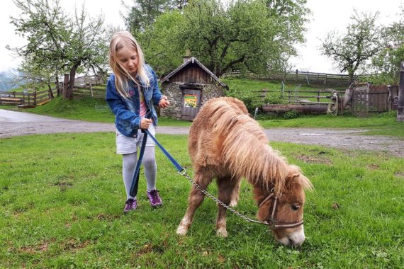 Tiere am Bio-Bergbauernhof Maurachgut in Bad Hofgastein