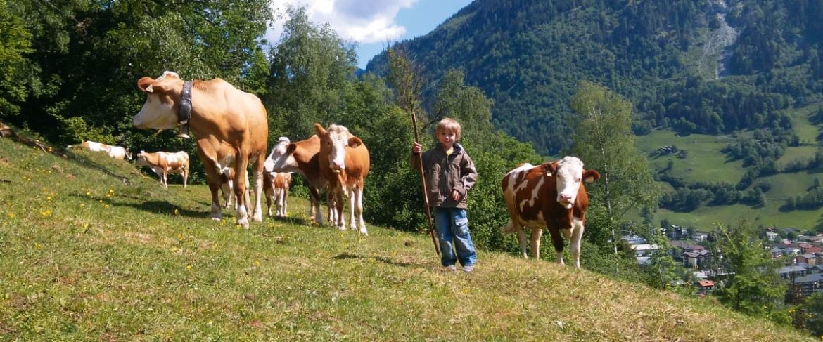 Biobauernhof in Bad Hofgastein, Bauernhofurlaub im Salzburger Land